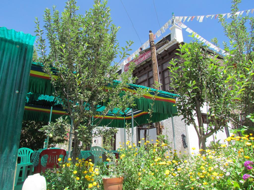 Ashoka Ladakh Hotel Leh Eksteriør billede