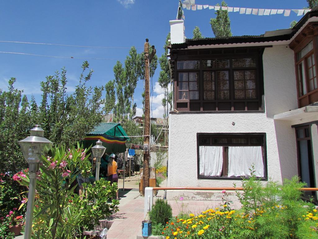Ashoka Ladakh Hotel Leh Eksteriør billede