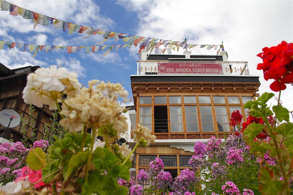 Ashoka Ladakh Hotel Leh Eksteriør billede